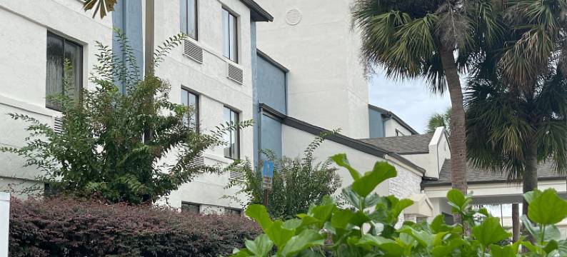 麦格特韦斯特德斯蒂尼棕榈酒店(Destiny Palms Hotel Maingate West)图片