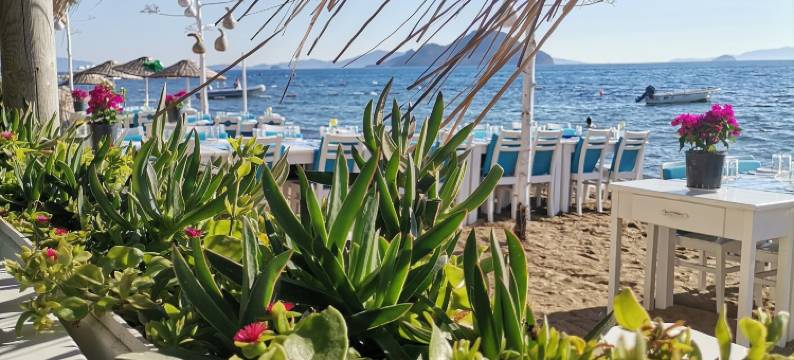 皮托斯小屋(Pitos Bungalows)图片