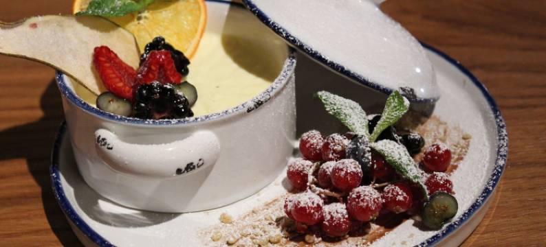 多瑙布里克兰德酒店(Landhotel Donaublick)图片