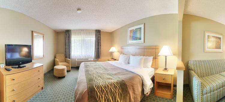 莫里斯I-80舒适酒店(Comfort Inn Morris I-80)图片