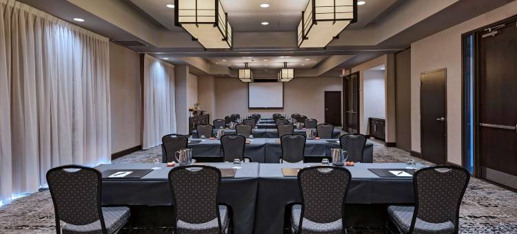 伍德兰斯凯悦尚萃酒店(Hyatt Centric the Woodlands)图片