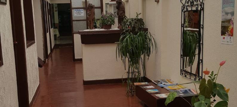 阿尔卡雅塔波帕扬酒店(Hotel Alcayata Popayan)图片