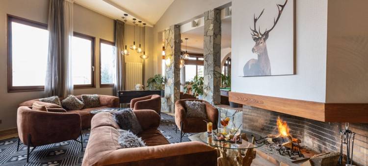 白熊皇家酒店(Royal Ours Blanc Boutique Hôtel & Spa)图片