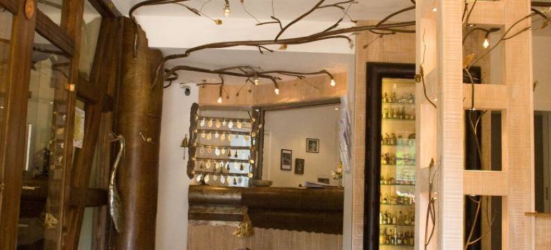 奥贝奇酒店(Auberge d'Imsthal)图片