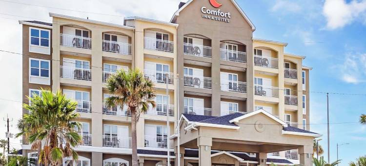 舒适酒店&套房(Comfort Inn & Suites)图片