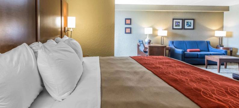 舒适套房酒店-诺克斯维尔西(Comfort Inn & Suites Knoxville West)图片