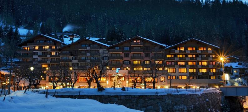 斯尔瑞特塔公园酒店(Silvretta Parkhotel)图片