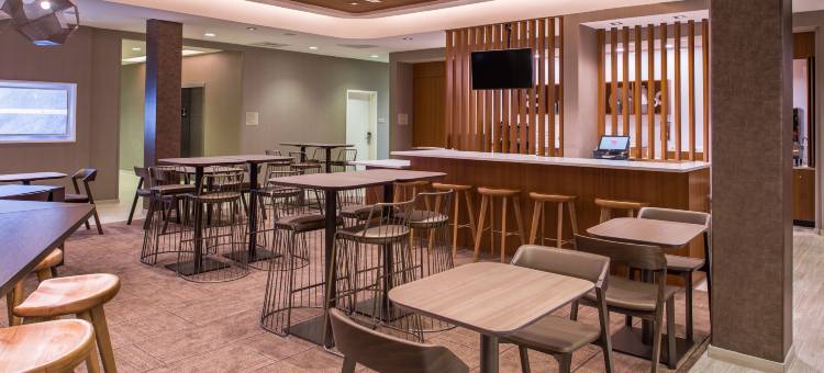 格林斯伯勒机场万豪SpringHill Suites酒店(SpringHill Suites Greensboro Airport)图片