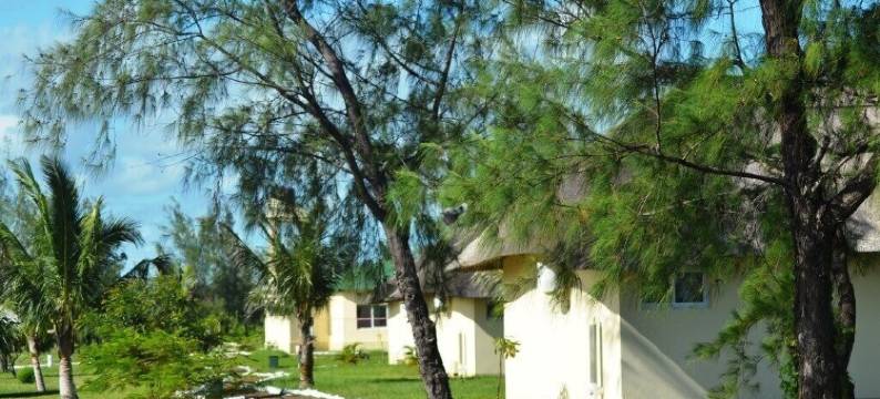 扎拉拉海滩小屋(Zalala Beach Lodge)图片