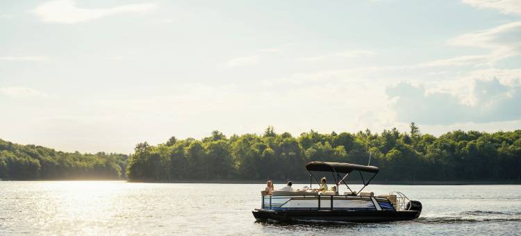 查特沃尔旅馆(The Chatwal Lodge)图片