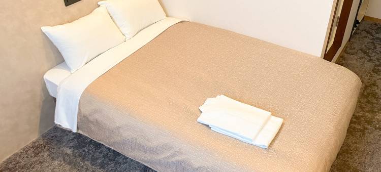 利夫马克斯酒店-天童店(HOTEL  LiVEMAX  Tendo)图片