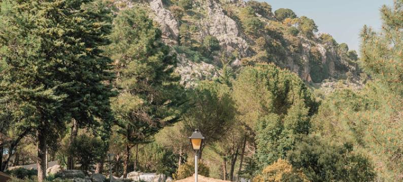 塔霍罗迪略露营地(Camping TajoRodillo)图片