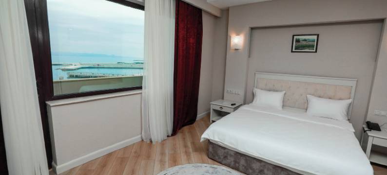 巴库戴德曼公园酒店(Park Dedeman Baku)图片