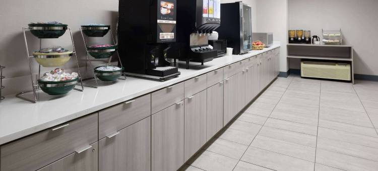 Microtel Inn & Suites by Wyndham Raleigh Durham Airport图片