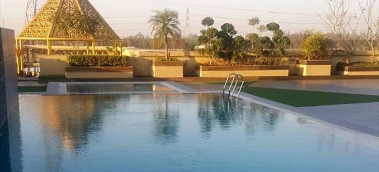 金色银河(Golden Galaxy)图片