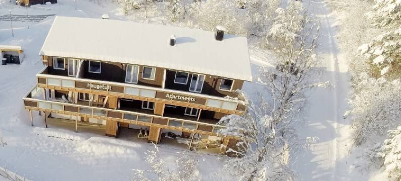 Haugetuft公寓(Haugetuft Apartments)图片