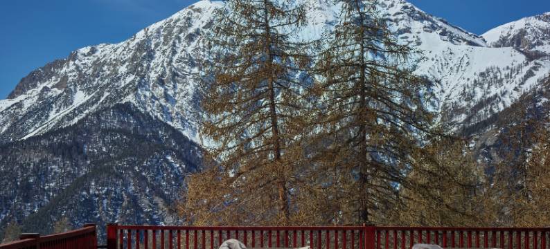 桑斯卡里奥玛杰斯蒂克酒店(Hotel Sansicario Majestic)图片