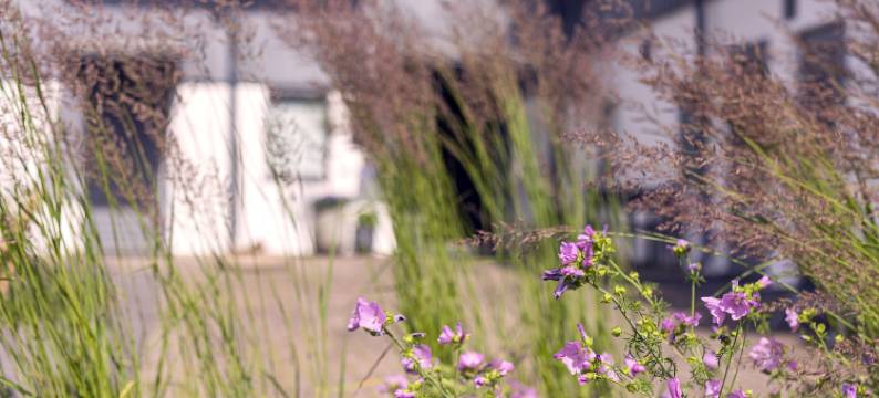 刚巴尔德度假村(Gumbalde Resort)图片