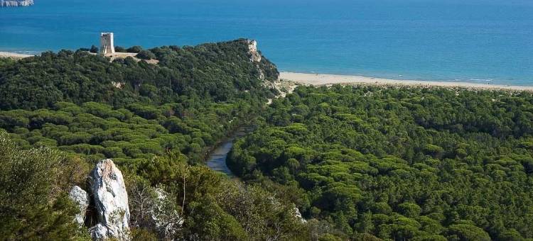 孔蒂圣博尼法西奥葡萄酒度假酒店(Wine Resort Conti di San Bonifacio)图片