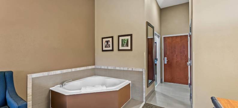 塔斯坎比亚-马斯尔肖尔斯舒适套房酒店(Comfort Inn and Suites - Tuscumbia/Muscle Shoals)图片