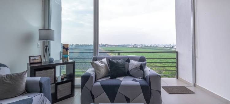 带露台和泳池的现代公寓(Modern Apartment with Terrace and Pool Access)图片