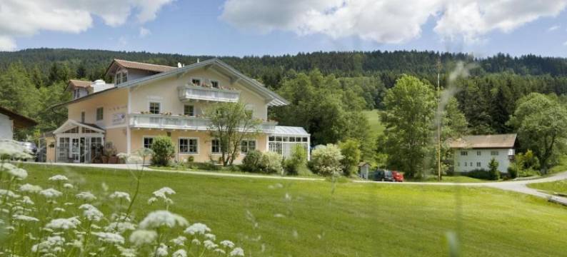 兰德加斯托赫尔施泰恩酒店(Landgasthof Hotel Zum Hirschenstein, Pension Garni)图片