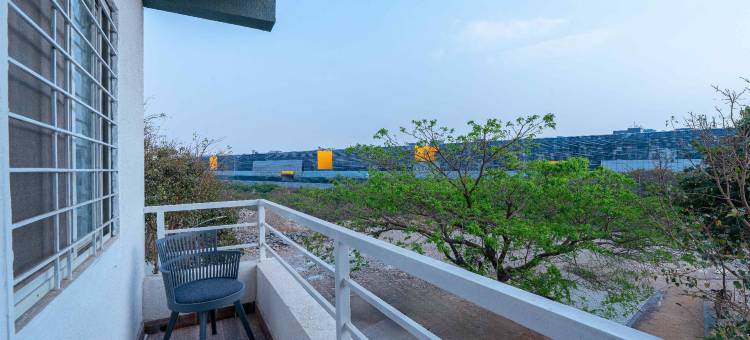 Treebo the Tree图片