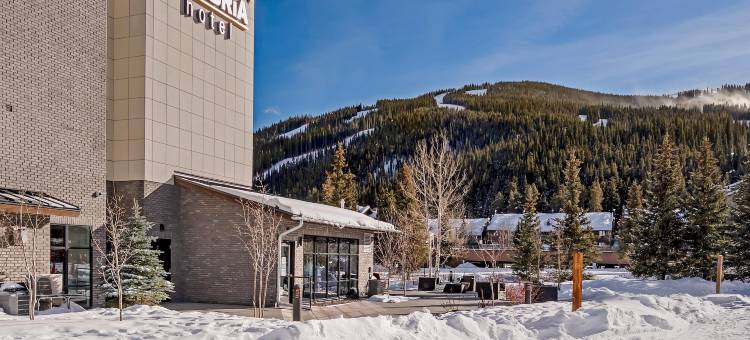 坎布里亚酒店-铜山(Cambria Hotel Copper Mountain)图片