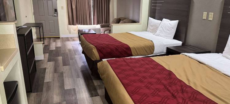 速8酒店-温德姆杰克逊MS(Super 8 by Wyndham Jackson MS)图片