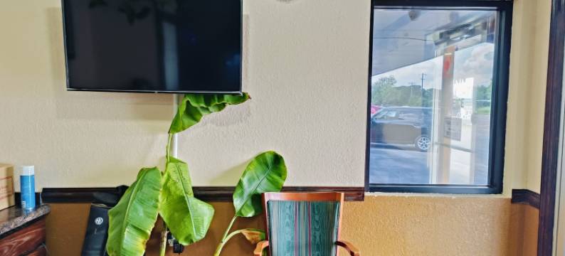 OYO经济旅馆爱丁堡281号公路(Budget Inn By OYO Edinburg Hwy 281)图片