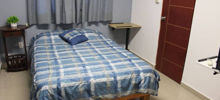 TO3旅馆(Hostal TO3)图片