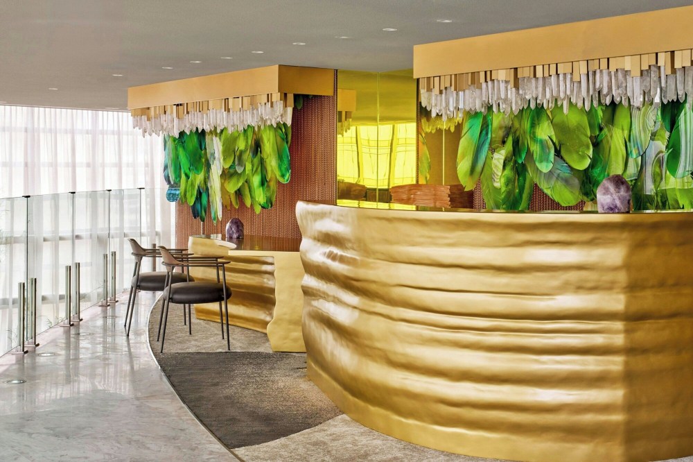 W Sao Paulo Over view