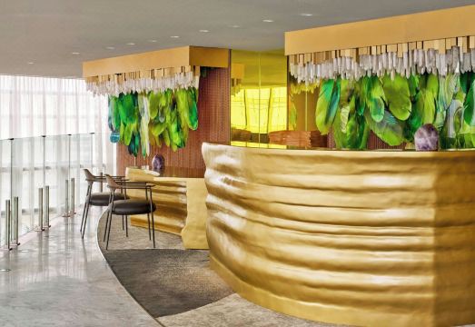 W Sao Paulo Hotel Overview