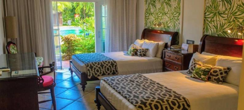 可可棕榈(Coco Palm)图片