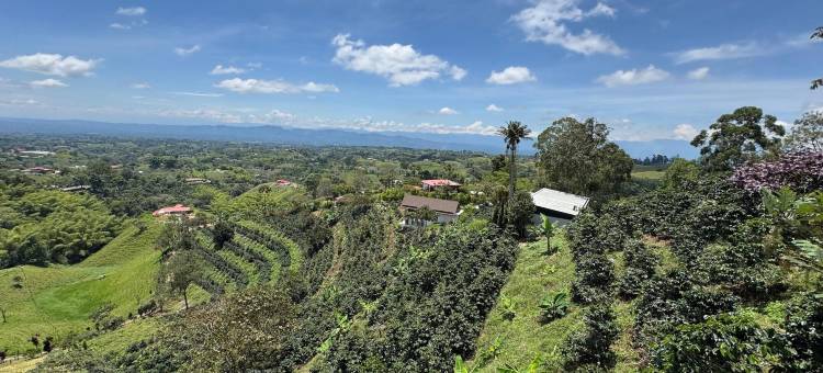 菲兰迪亚小屋(La Casita Filandia)图片