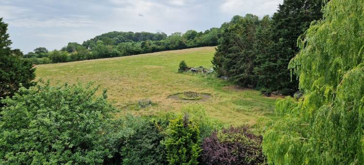 沃斯酒店(Worth House Bed and Breakfast)图片