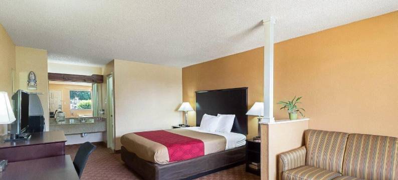 市中心东北伊克诺郊外小屋旅店及套房 - 近山姆休斯顿堡(Econo Lodge Inn & Suites Downtown Northeast Near Fort Sam Houston)图片
