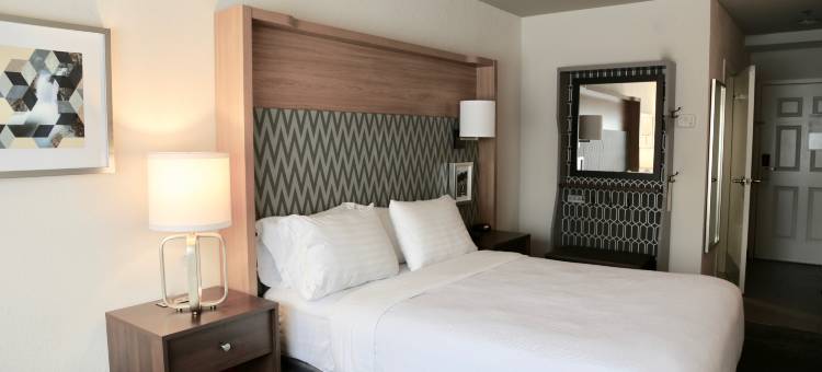 塞勒姆假日酒店(Holiday Inn SALEM (I-93 AT EXIT 2) by IHG)图片