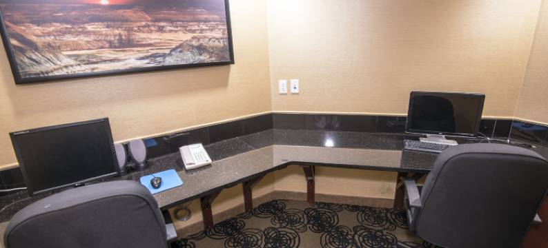 Holiday Inn Express 红鹿(Holiday Inn Express RED DEER by IHG)图片