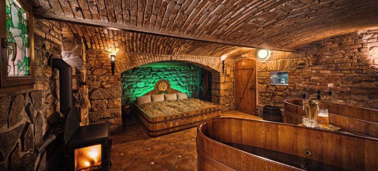 卡罗维发利波西米亚酒店(Hotel Golden Lamb)图片