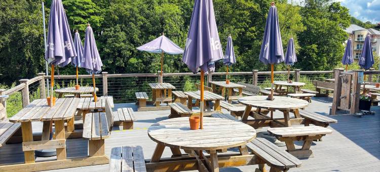 指针酒店(The Hand Hotel)图片