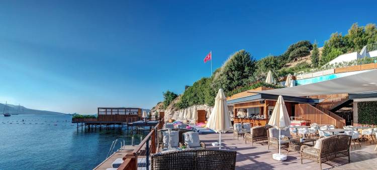拉 美丽塔酒店 博德鲁姆(La Bonita Hotel Bodrum)图片