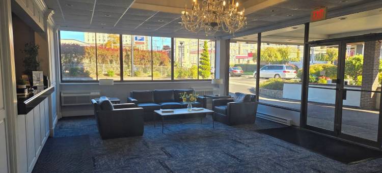 阿姆斯特丹酒店(Amsterdam Hotel)图片