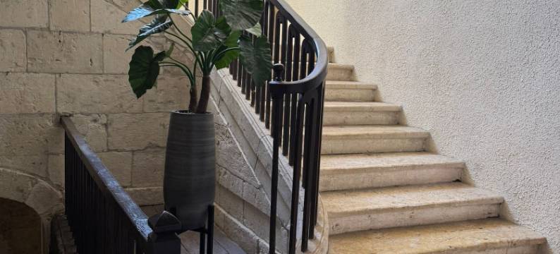 乐舒适(Le Cozy)图片