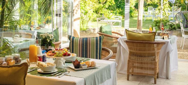 康斯坦提亚最后一字(The Last Word Constantia)图片