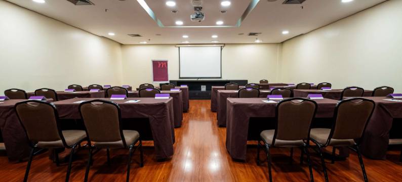 宜必思坎皮纳斯酒店(Ibis Campinas)图片