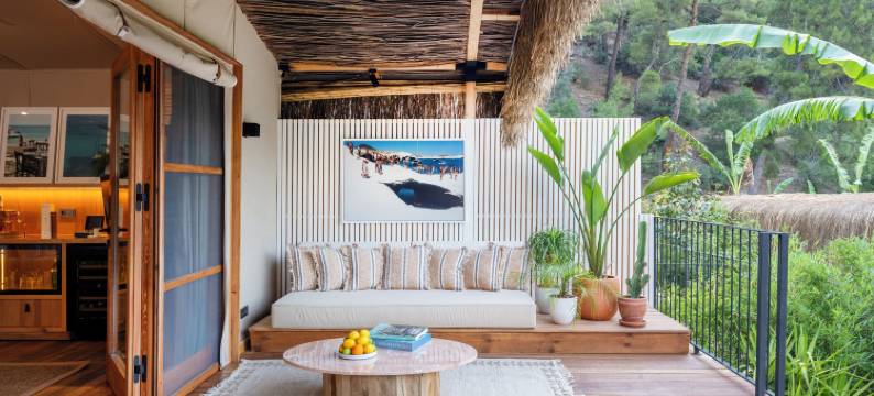 Yazz 集体(Yazz Collective)图片