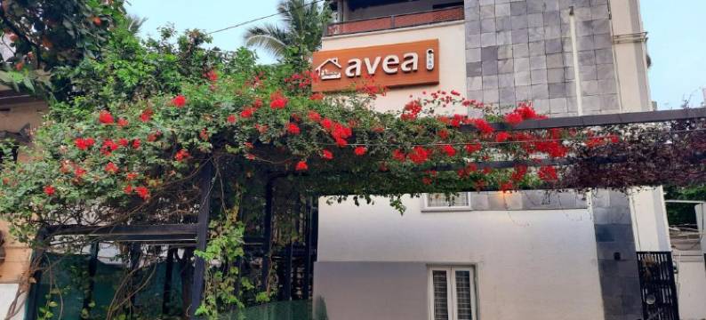 Avea Accommodation图片