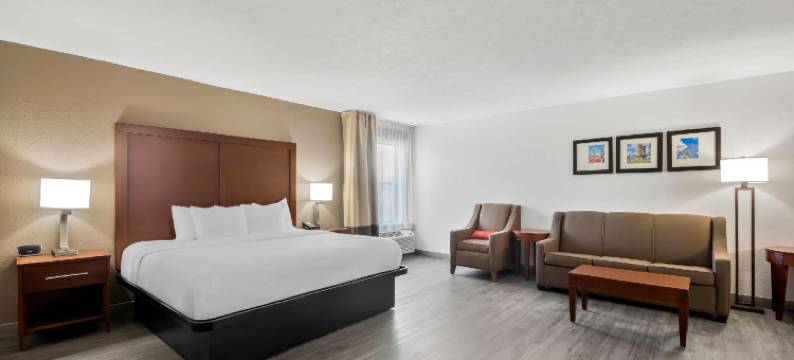 辛辛那提东门舒适套房酒店(Comfort Inn & Suites Cincinnati Eastgate)图片