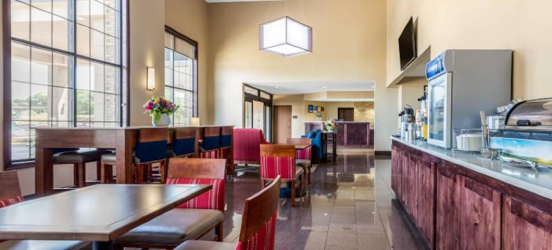 舒适套房酒店(Comfort Inn & Suites)图片